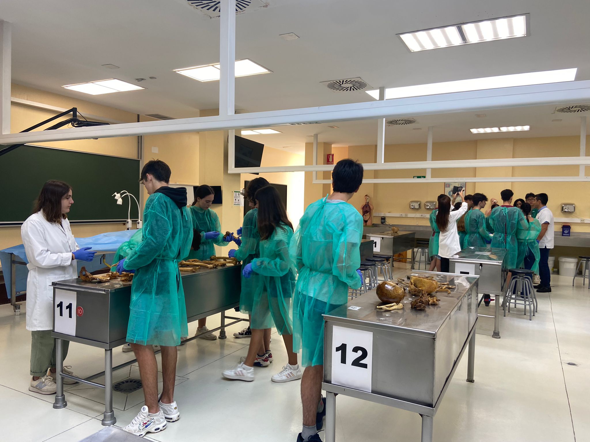 Estudiants de Medicina de la UMH