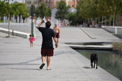 Un home passeja pel Parc Central de València en plena onada de calor