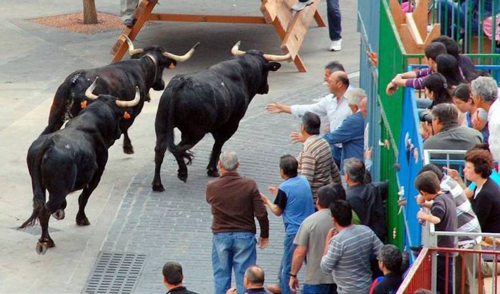 Un jove, ferit greu per l’envestida d’un bou a Calp
