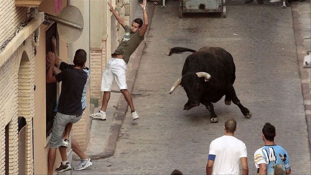 Un bou envesteix de manera brutal un jove a Petrés [Vídeo]