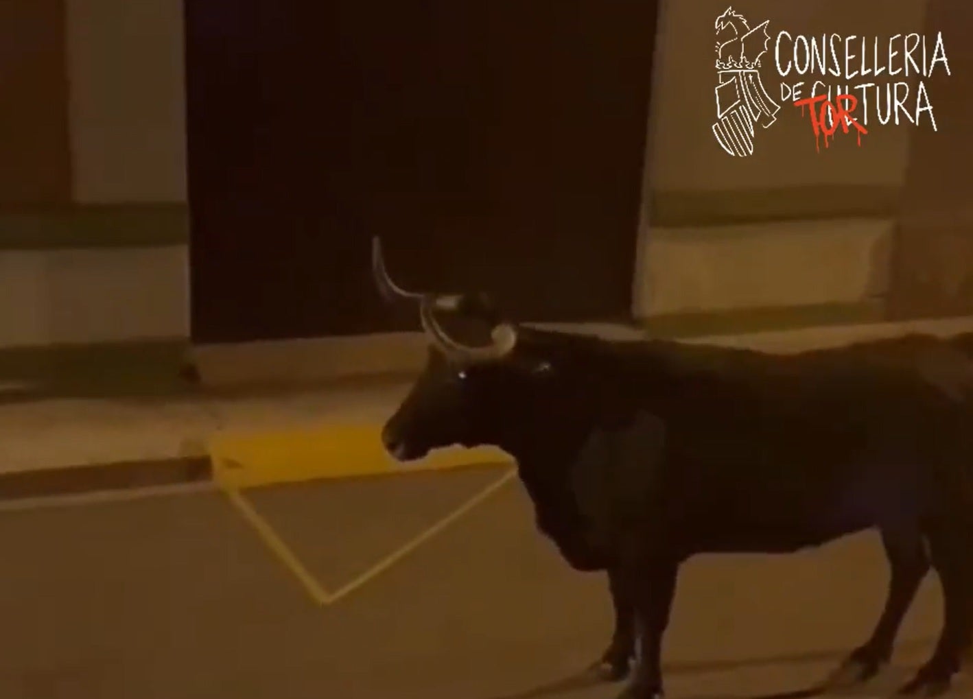 La Plataforma Antitaurina d’Alfafar reclama una reflexió sobre el futur de les festes després del succés de divendres