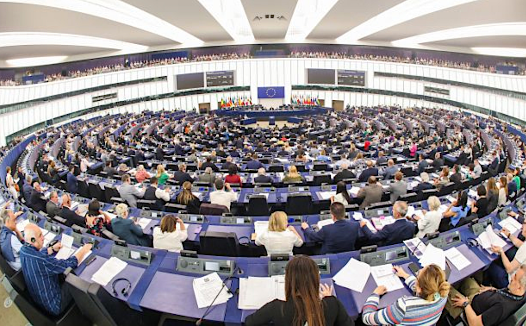 Per què ha generat controvèrsia la llei europea sobre restauració de la natura?