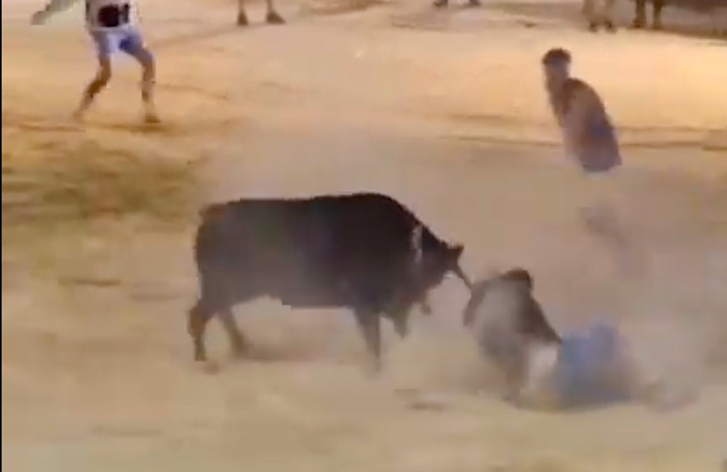 Els bous al Port de Sagunt comencen amb una baralla i diversos ferits [Vídeo]
