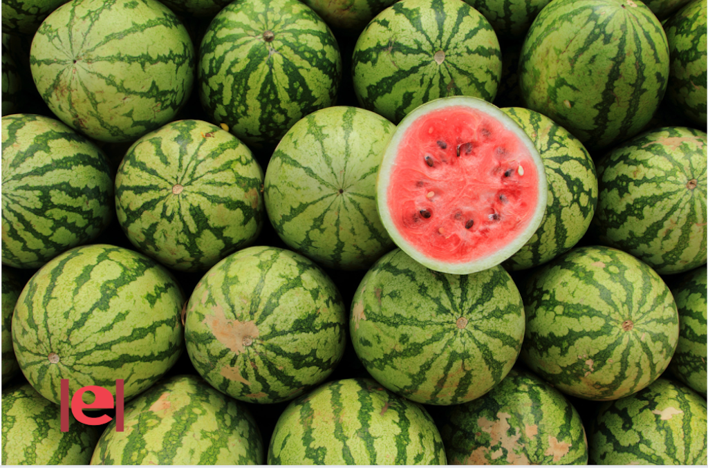 Com saber si un meló d’Alger és bo