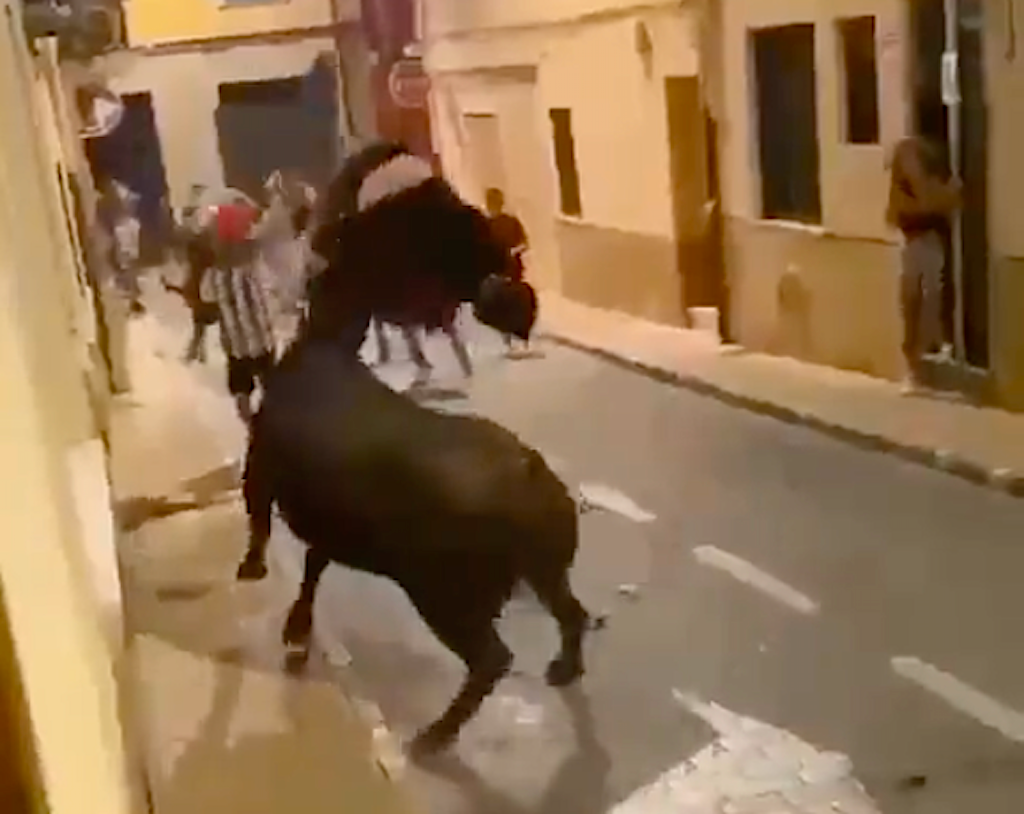 Un jove pateix una envestida de bou «interminable» a Castalla [Vídeo]