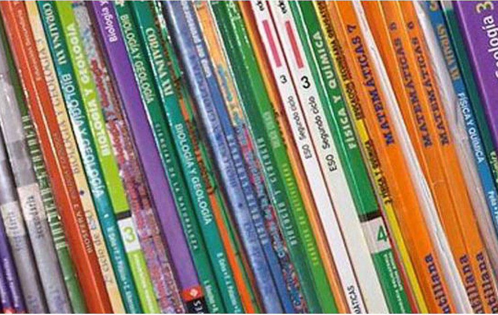 Fa 10 anys, a DLV: «Oltra: “Està a punt de començar el curs i no han abonat les beques per a llibres de l’any passat”»