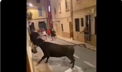 Imatge del vídeo de l'envestida popularitzat arreu del món