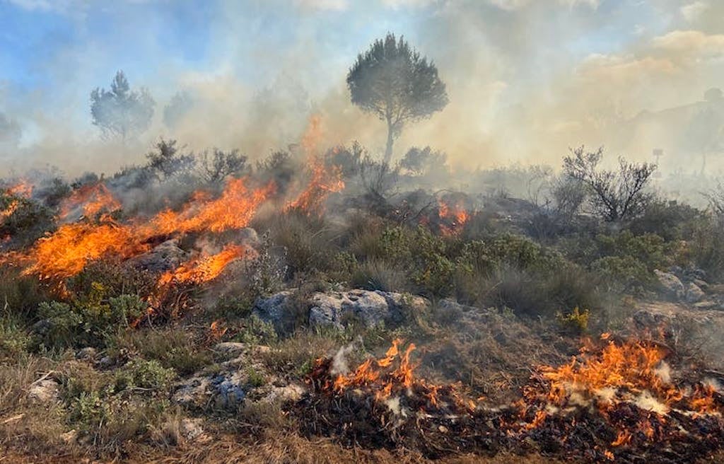 Incendi en un matollar mediterrani | Lola Álvarez