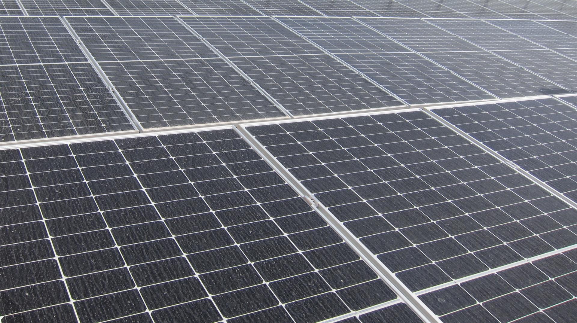 El Govern espanyol aprova la DIA d’una macroplanta fotovoltaica a la Plana Baixa