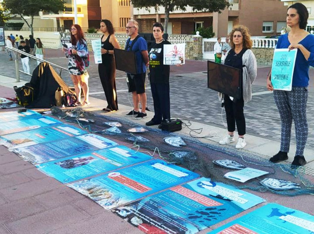 Activistes es manifesten a Gandia per a denunciar la indústria pesquera
