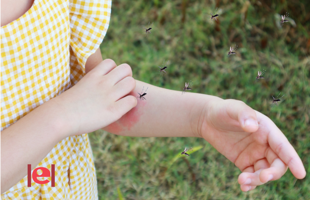 Per què els mosquits piquen més unes persones que unes altres
