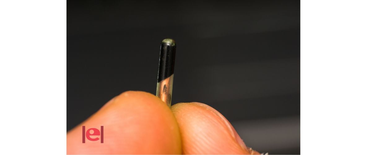 La importància d’Implantar un microxip a les nostres mascotes
