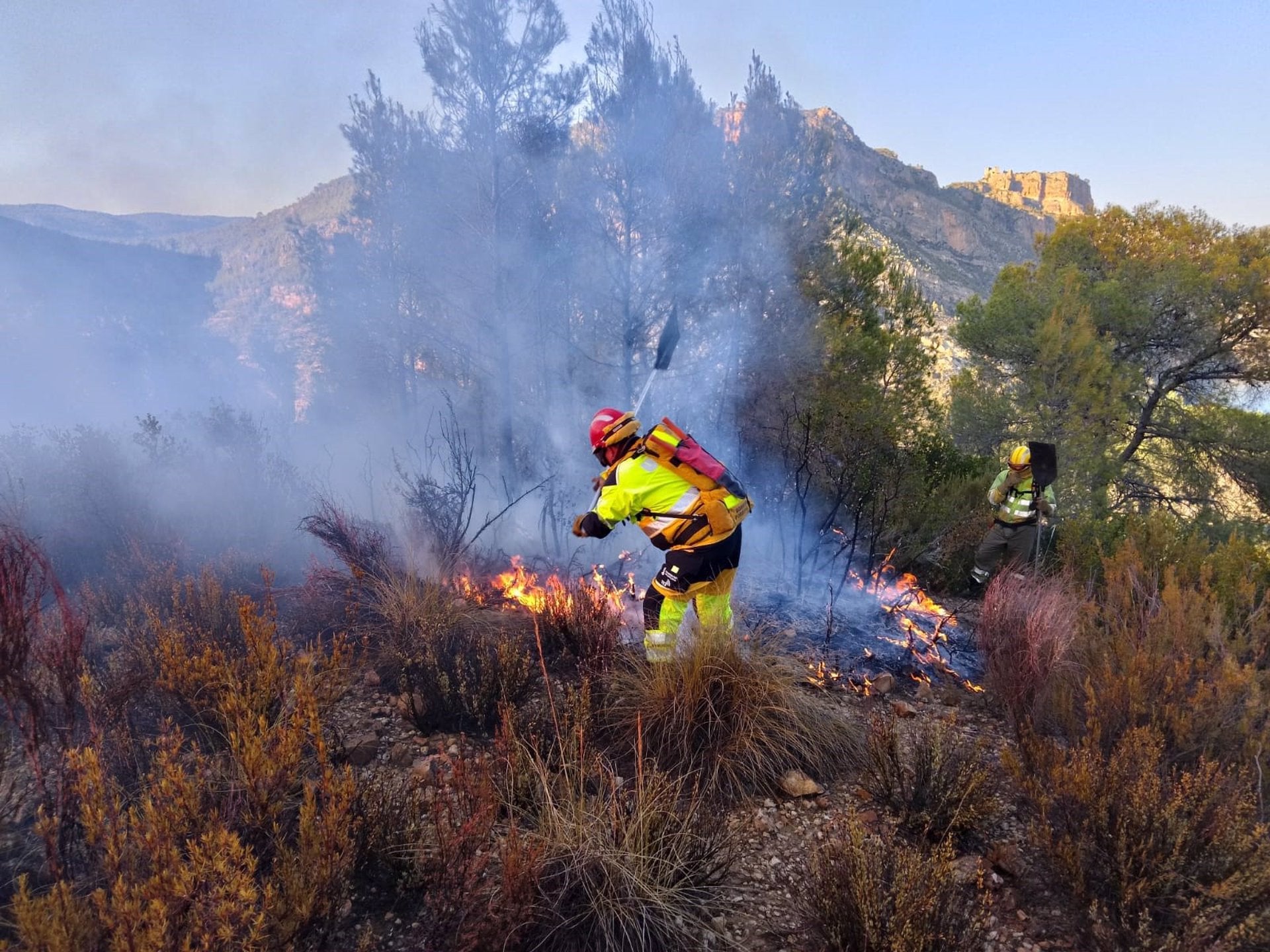 Incendi recent a Cofrents (Vall d'Aiora)
