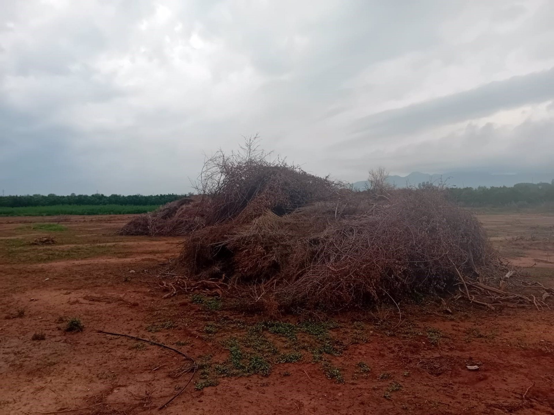 La Unió diu que Vox «no sembla estar al costat dels agricultors» per la negativa a autoritzar la crema de restes agràries