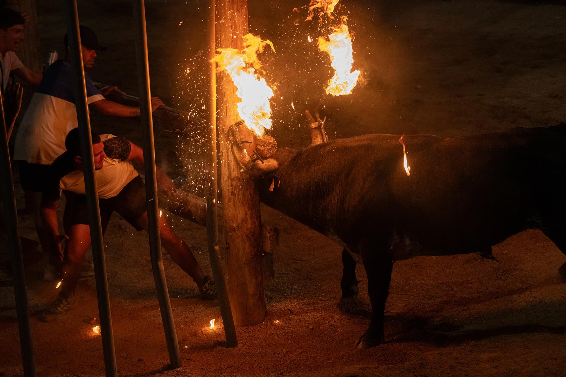 Convoquen una activitat taurina a Algemesí per a tots els públics en horari escolar