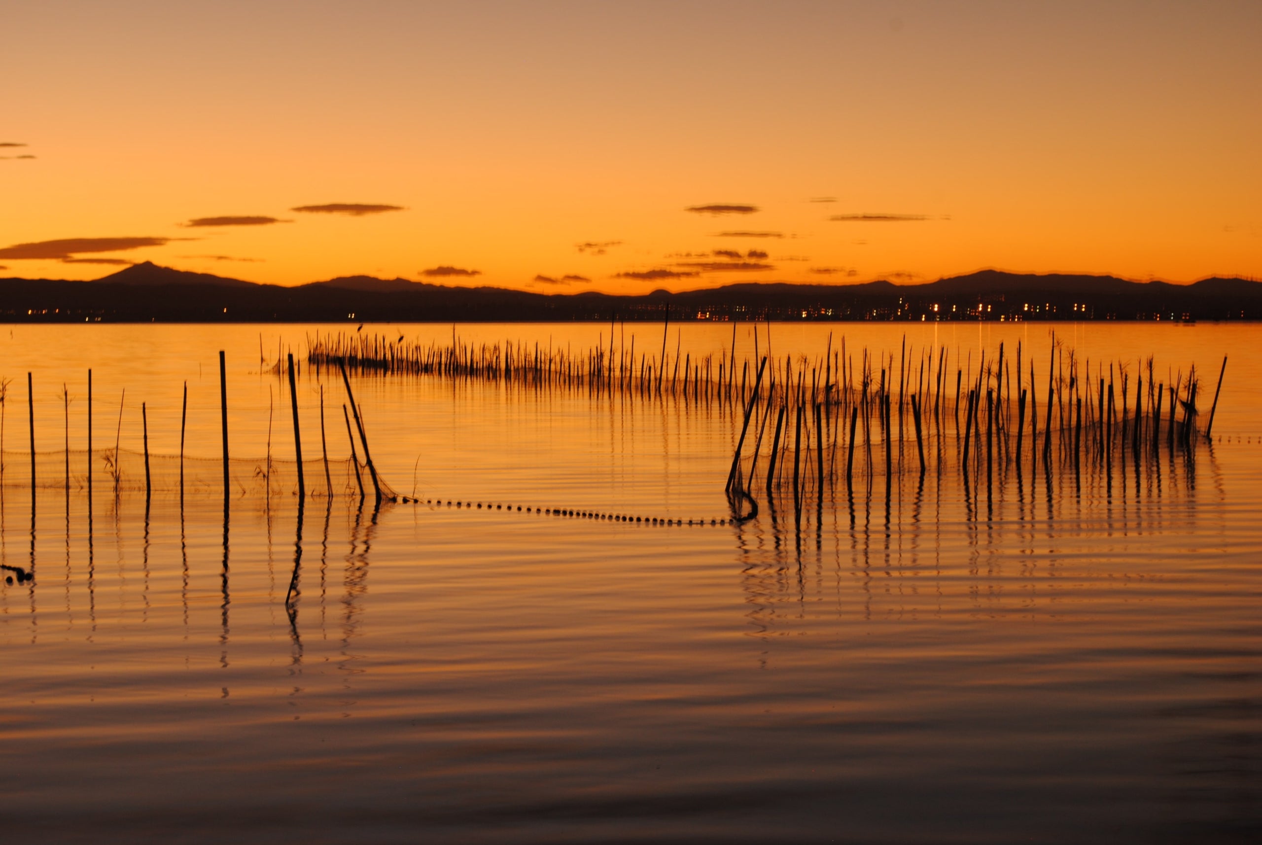 L'Albufera de València