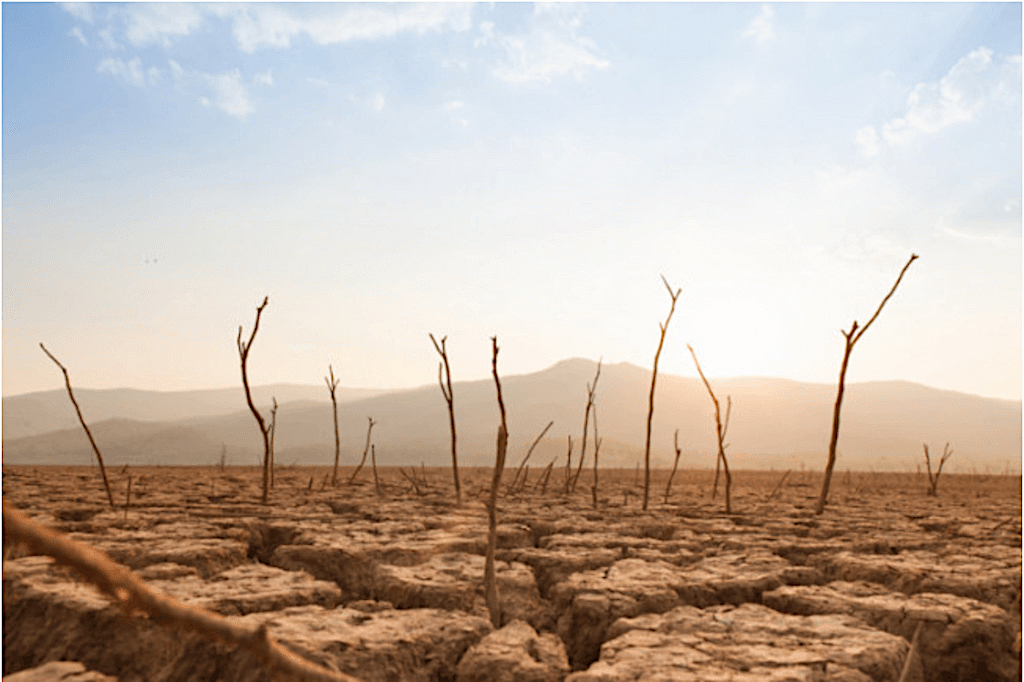 Calen 40.000 MEUR anuals per a adaptar-se a un augment de la temperatura mitjana d’1,5º