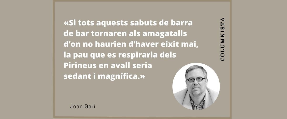 L’amnistia, el soroll i un de Vox