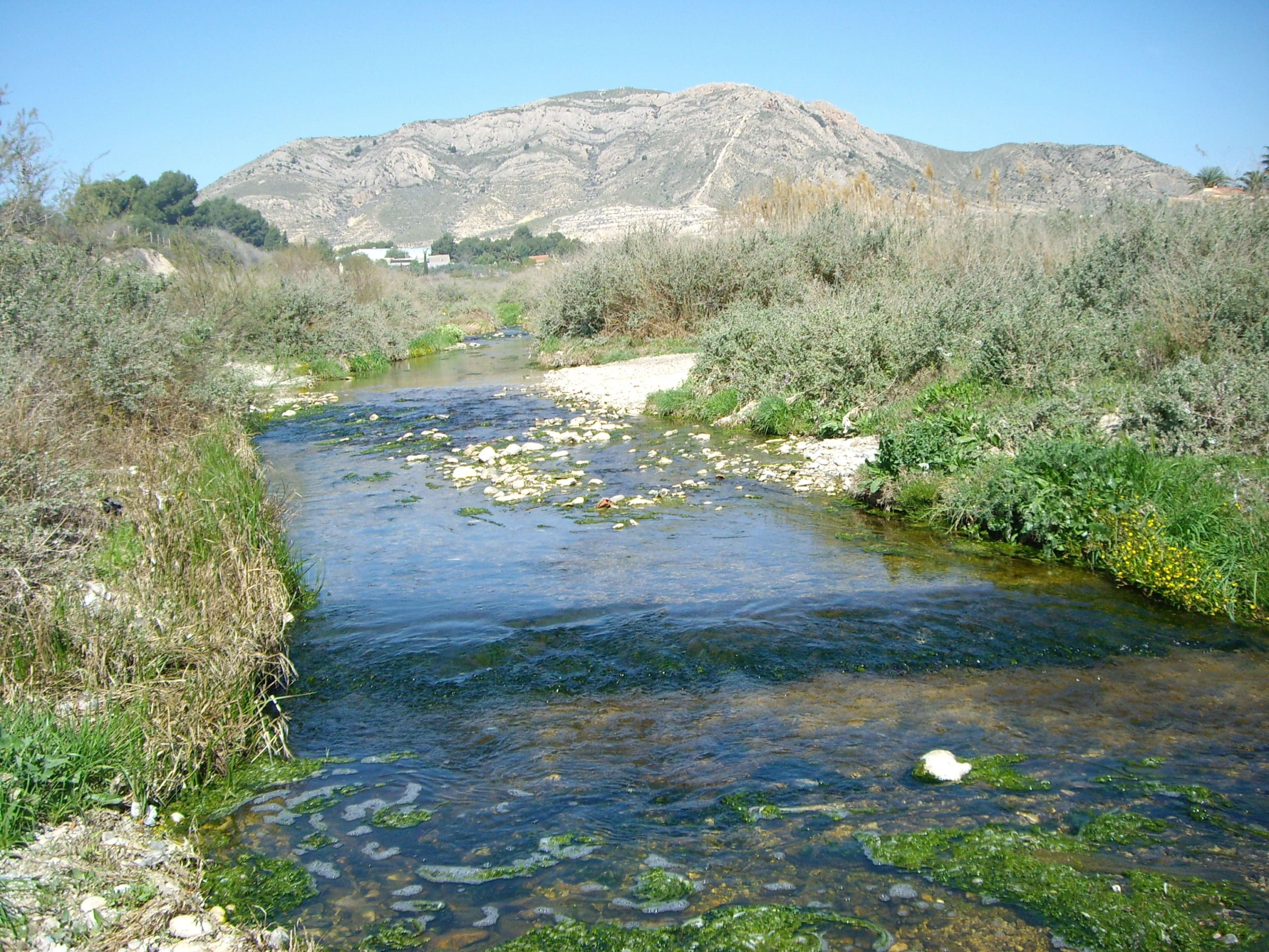 El Vinalopó al seu pas per Elda
