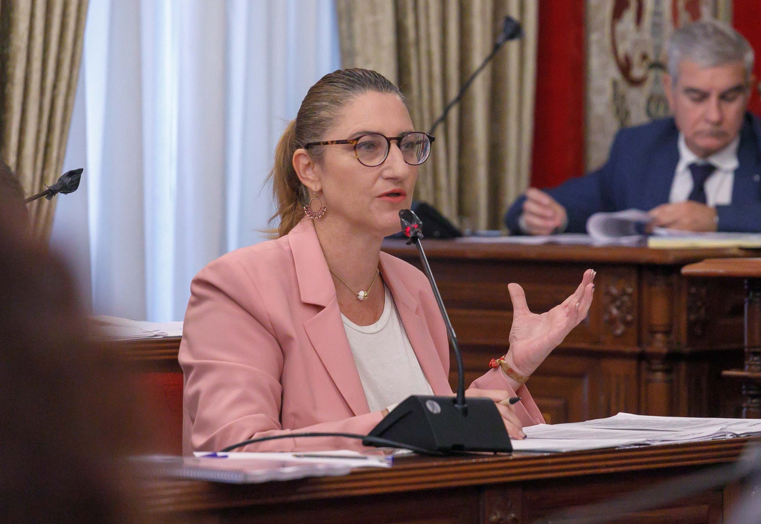 La portaveu del PP a l'Ajuntament d'Alacant, Mari Carmen de España