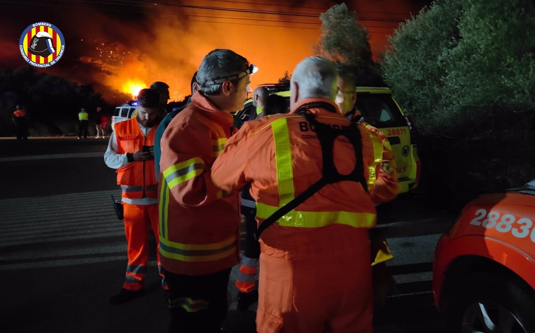 Bombers treballant en l'incendi forestal declarat a Montitxelvo