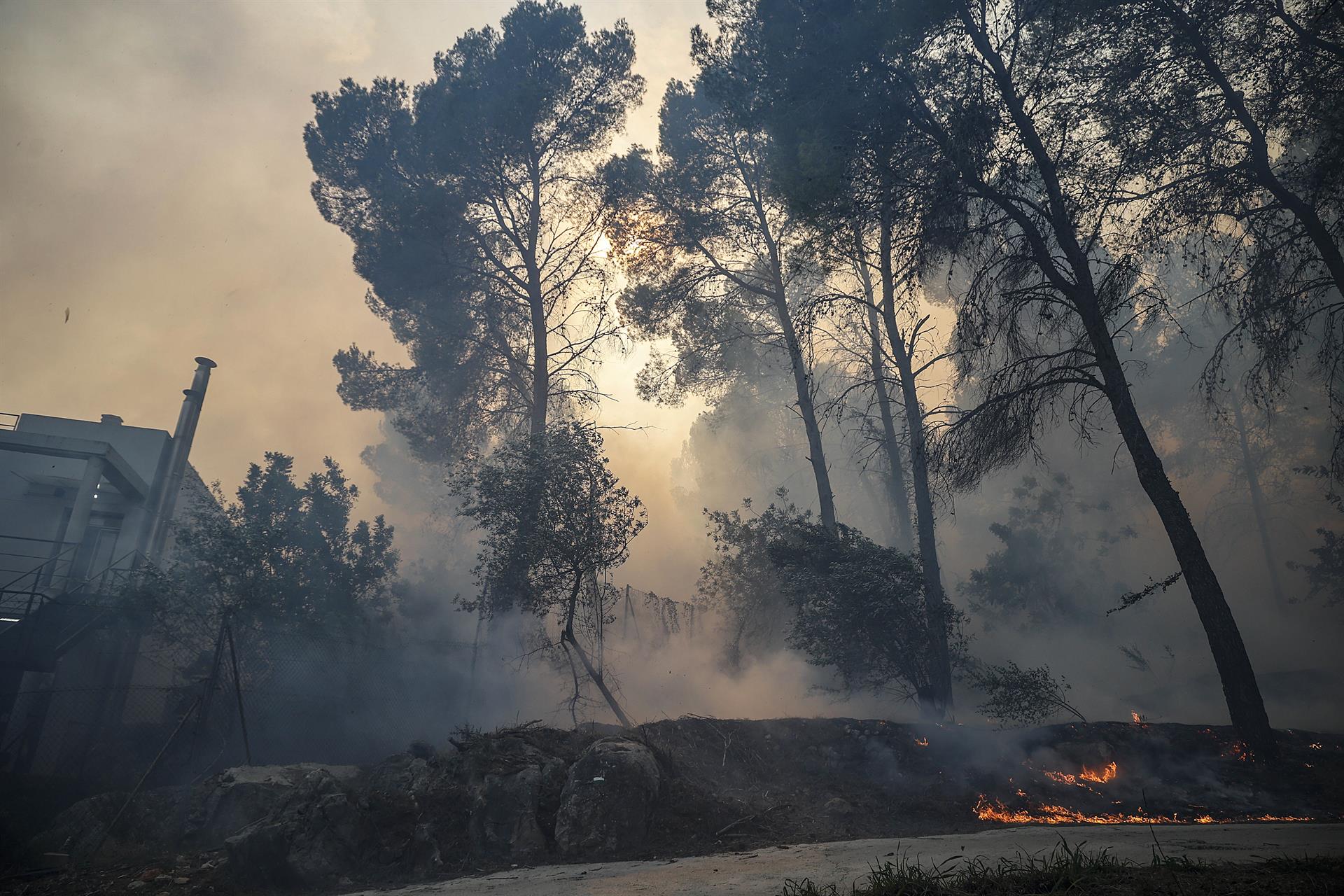 Zona afectada per l'incendi forestal de Montitxelvo | Rober Solsona | EP