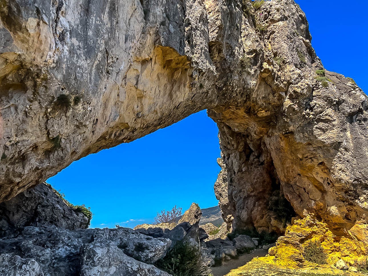 La Foradà. La Vall de Gallinera (la Marina Alta) - Moisès Vizcaino