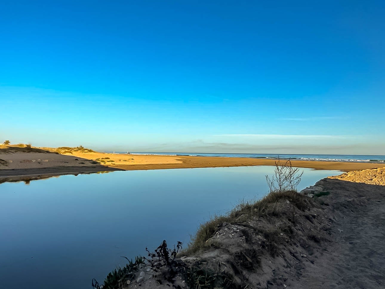 Riu Molinell. Entre Dénia i Oliva - Moisès Vizcaino