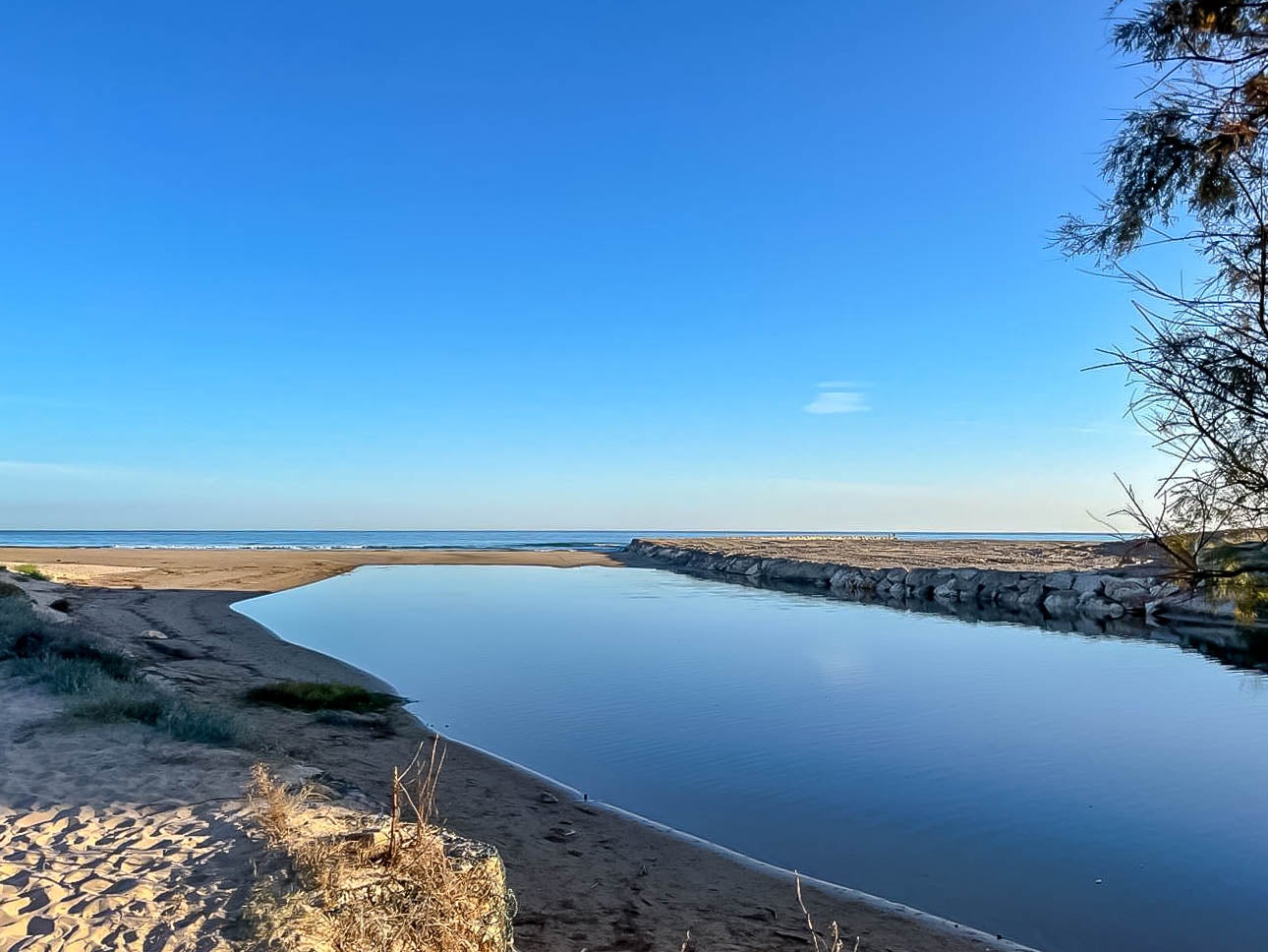 Riu Molinell. Entre Dénia i Oliva - Moisès Vizcaino