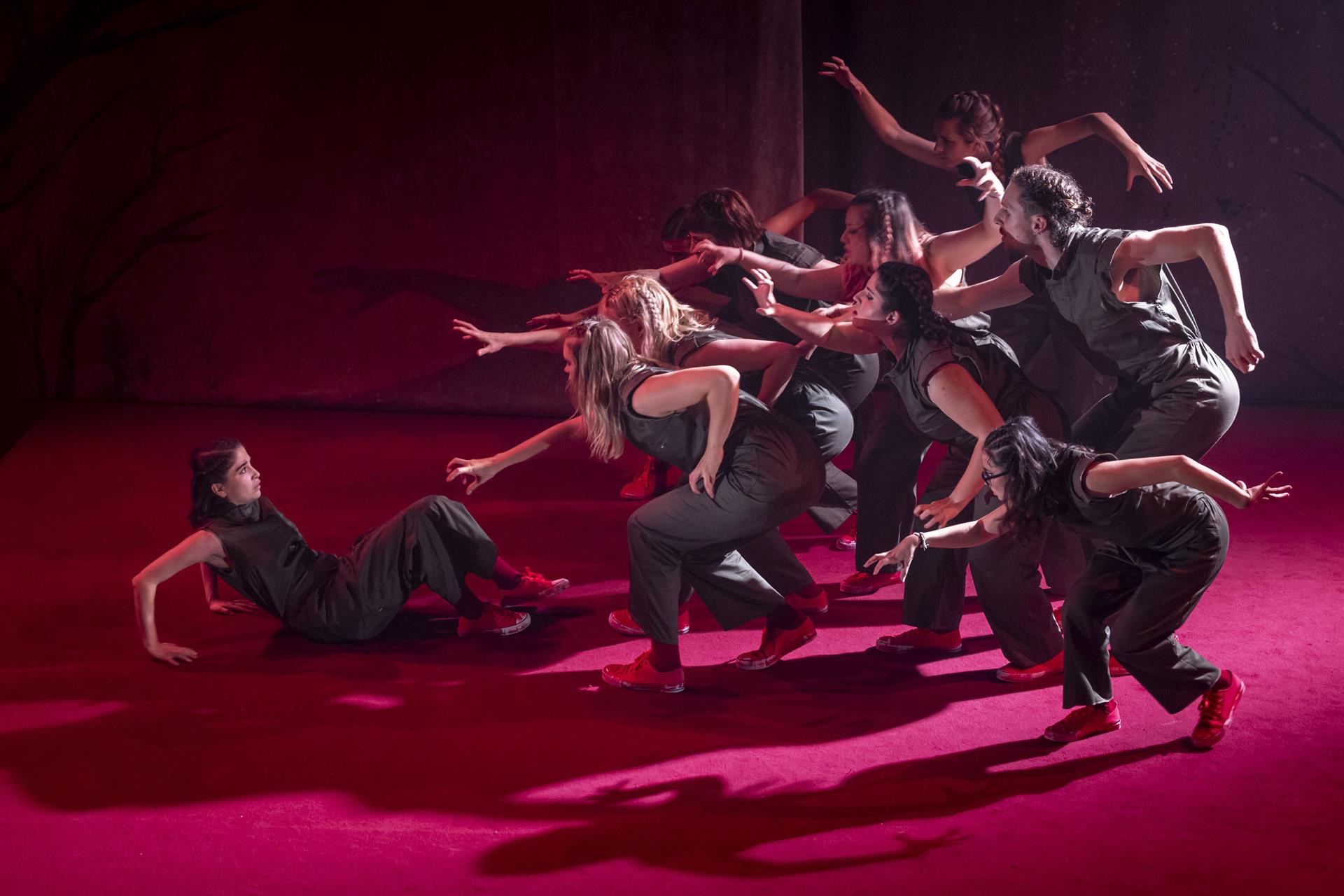 Espectacle d'Escena Erasmus | Miguel Lorenzo