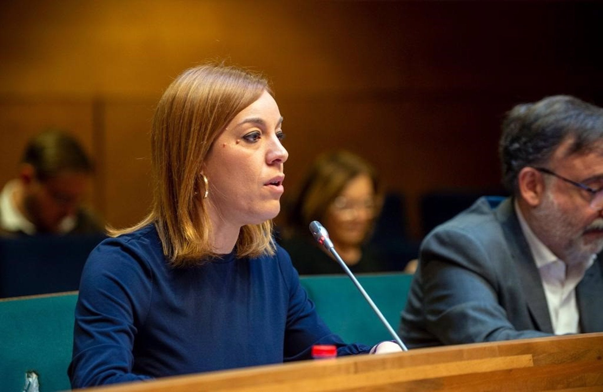 La portaveu de Compromís a la Diputació de València, Dolors Gimeno
 