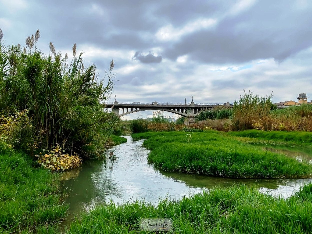 Riu Albadia - Foto: Joanjo Puertos