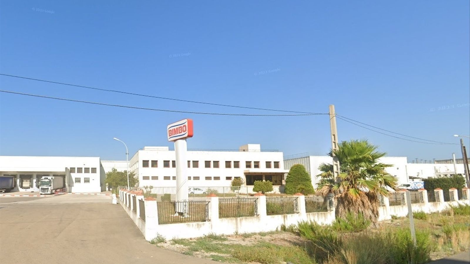 Planta de Bimbo al Verger (Marina Alta)