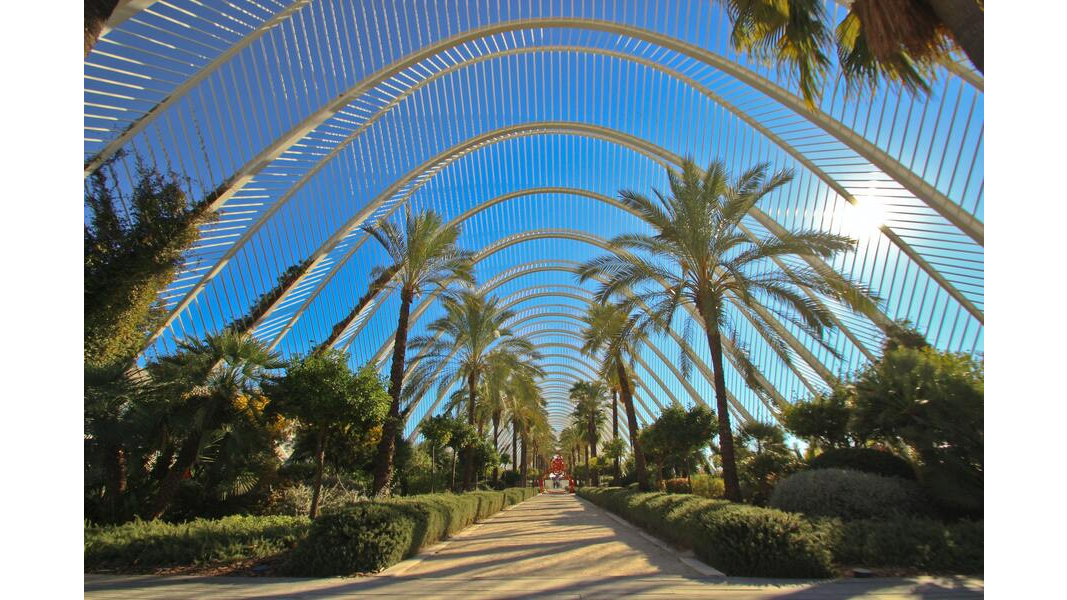 València / Brainduction via Pexels