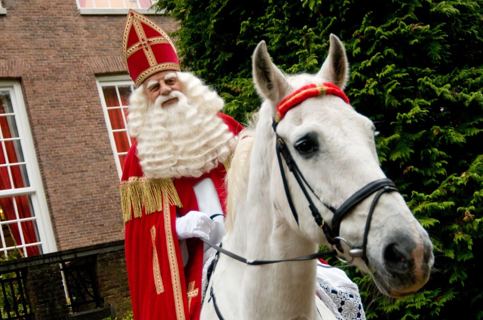 Sinterklaas a lloms del seu cavall, Amèrigo