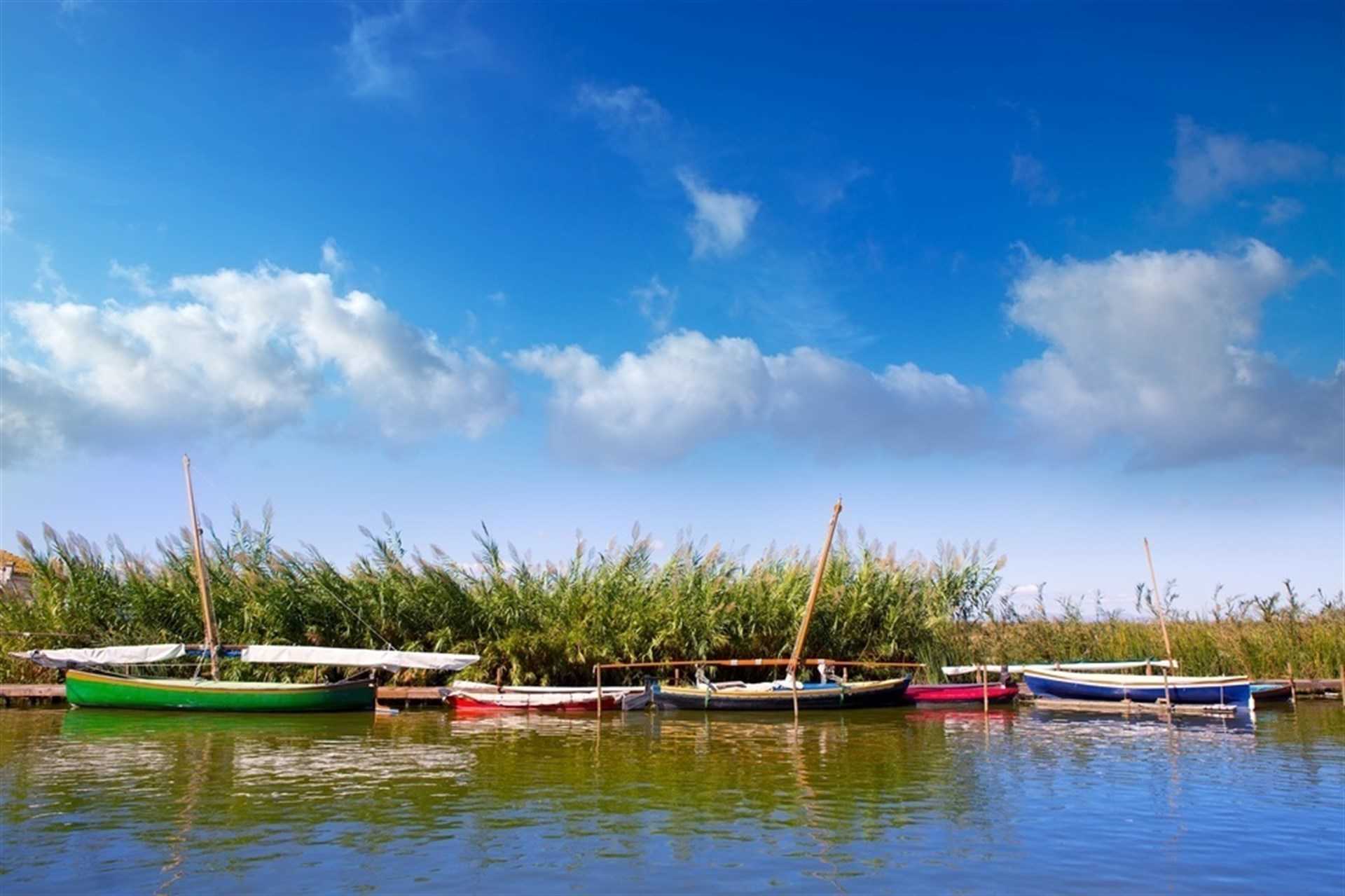 L'Albufera de València
