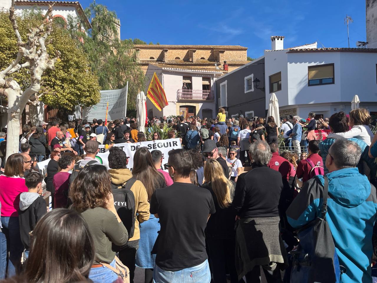 Manifestació contra el PAI de Llíber | DVL