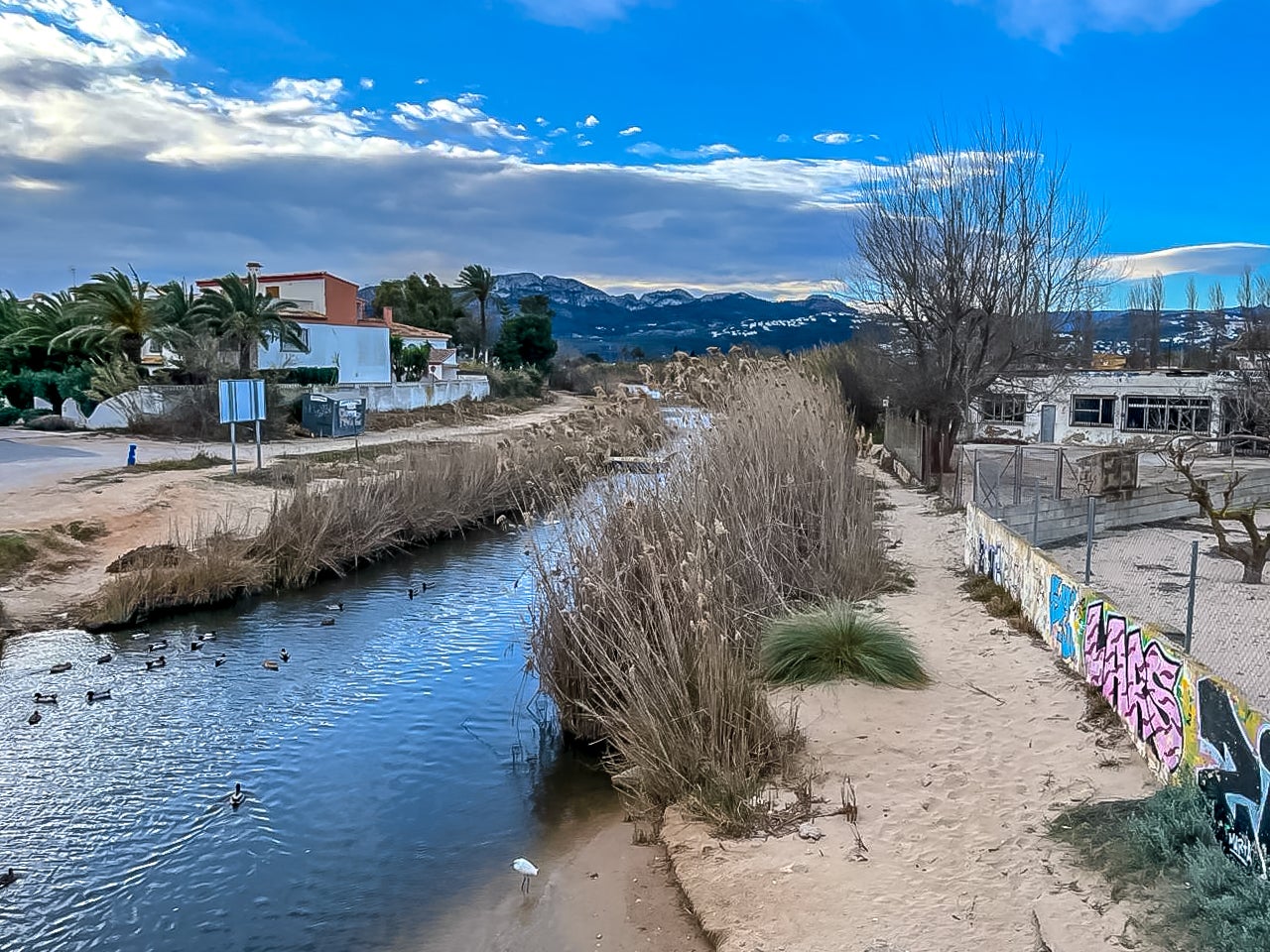 Riu Molinell que separa Dénia i Oliva - Moisès Vizcaino