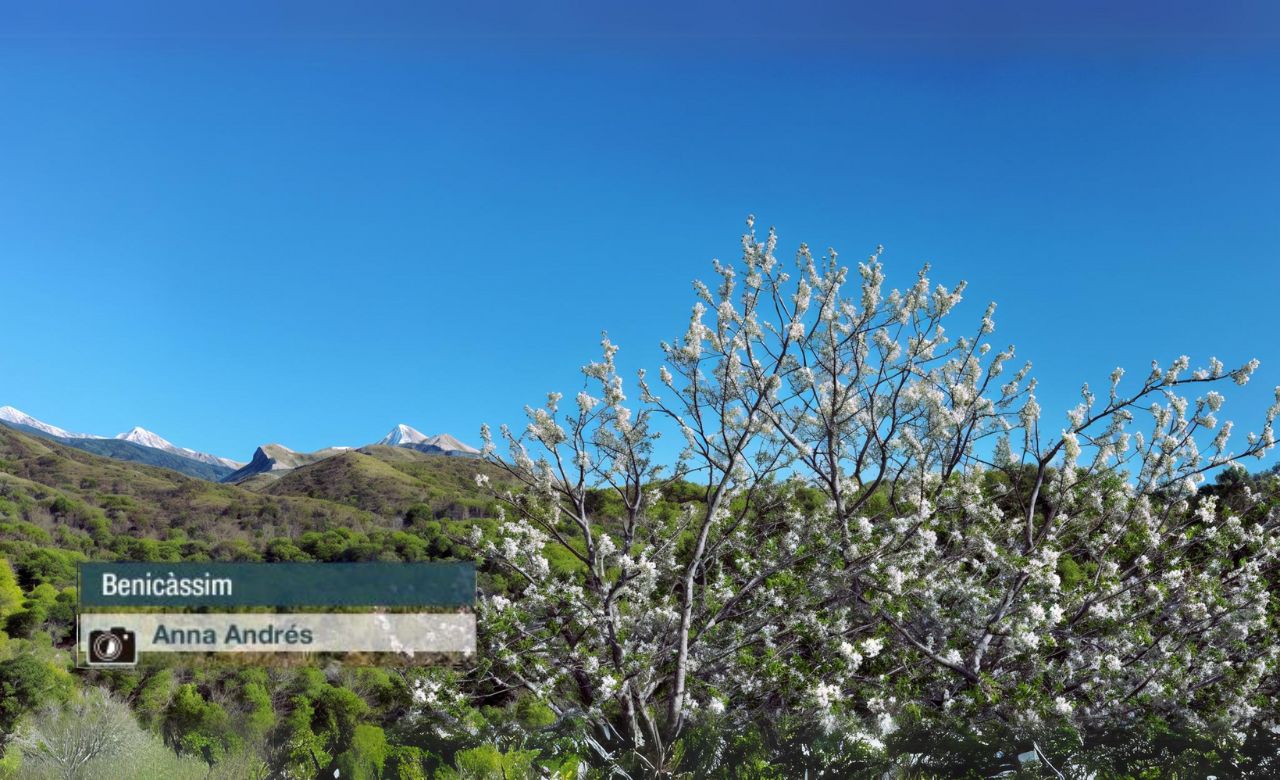 Benicàssim - Anna Andrés