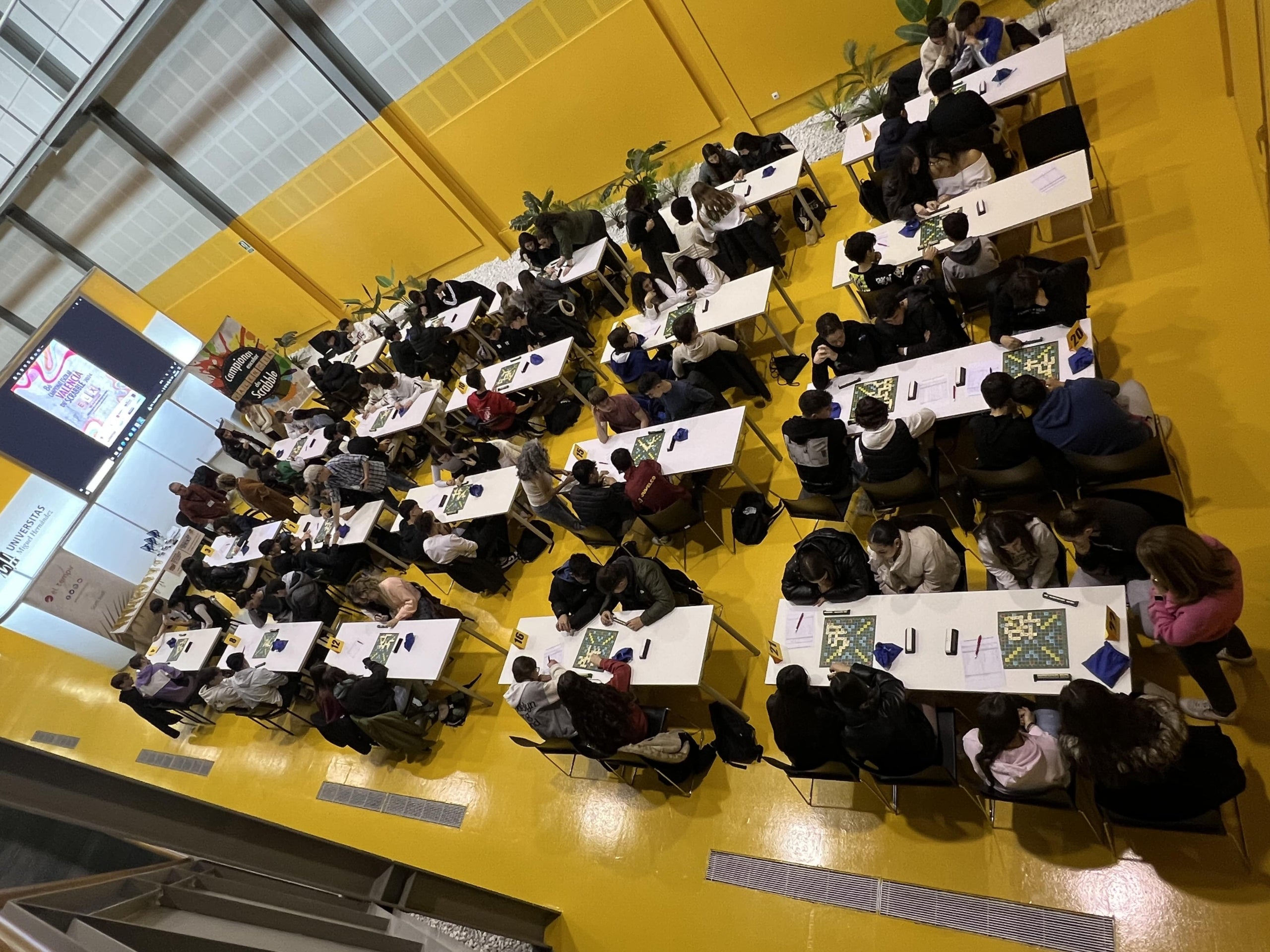 Campionat Valencià de Scrabble celebrat a Elx / El Tempir