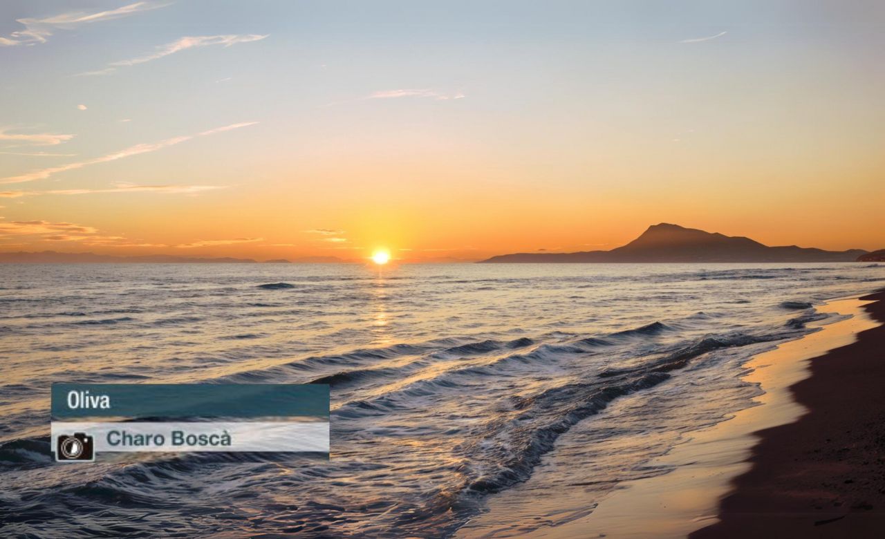 Oliva - Charo Boscà