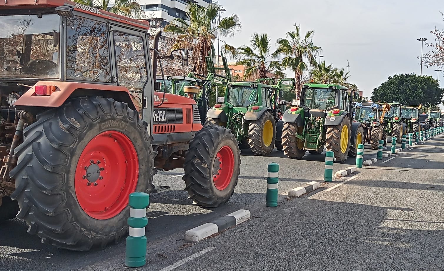 Els tractors bloquejant la ronda nord de València | DLV