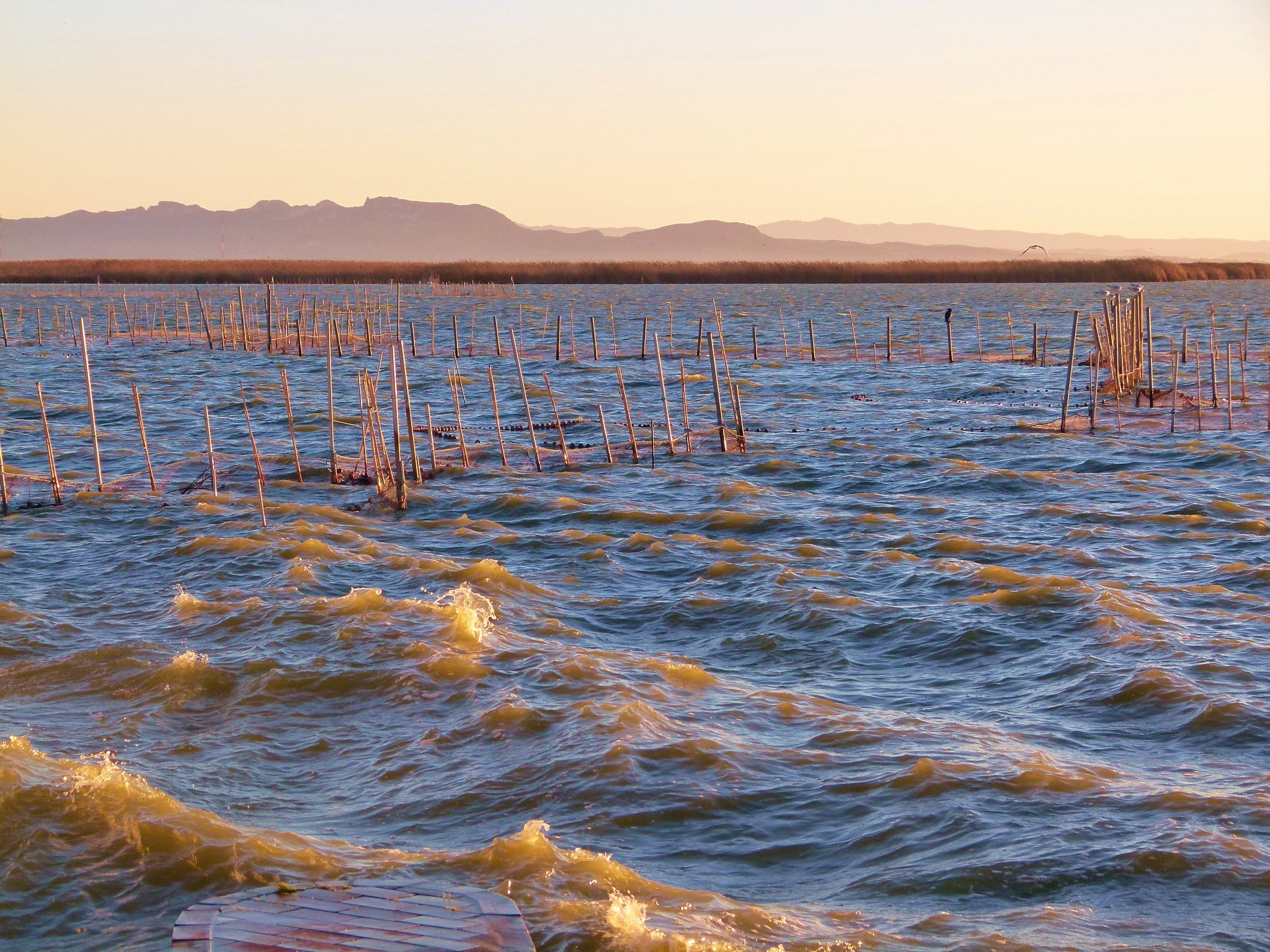 L'Albufera de València / Antonio Marín Segovia