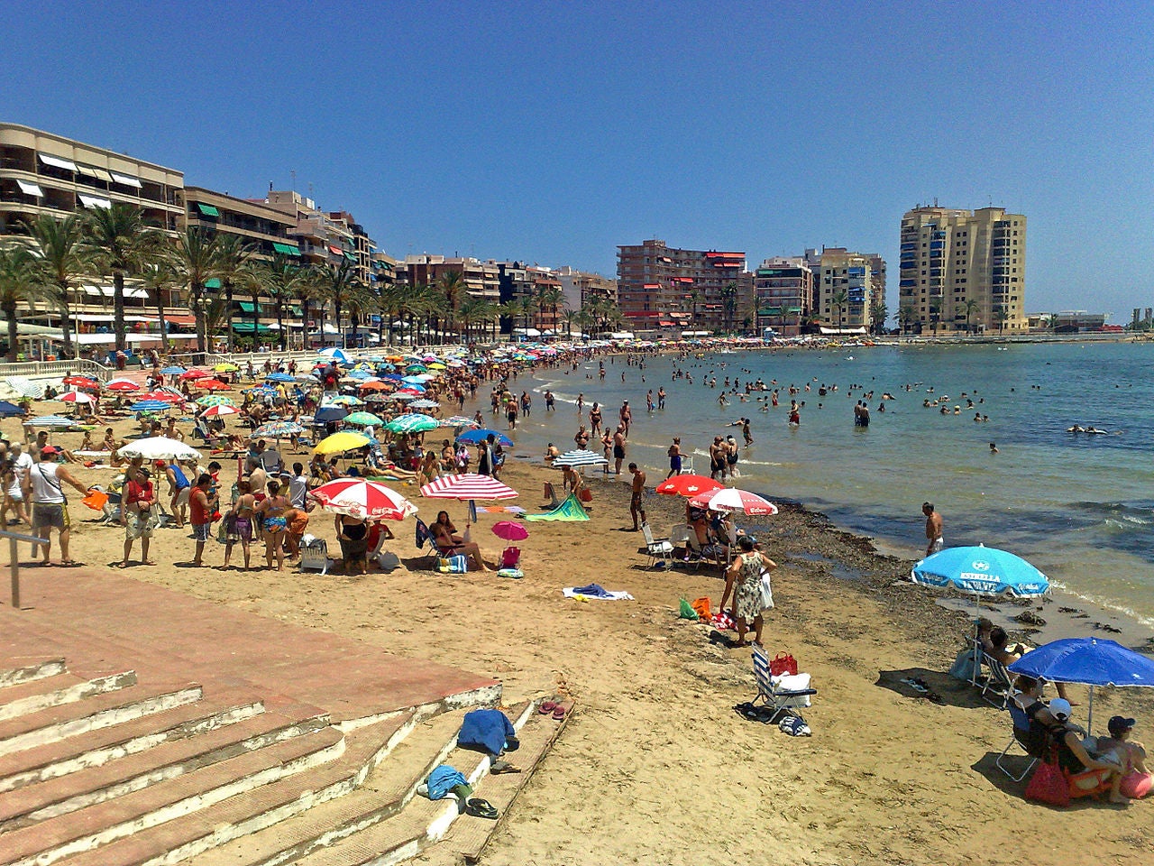 Platja de Torrevella (Baix Segura), una de les localitats amb dades més preocupants 
