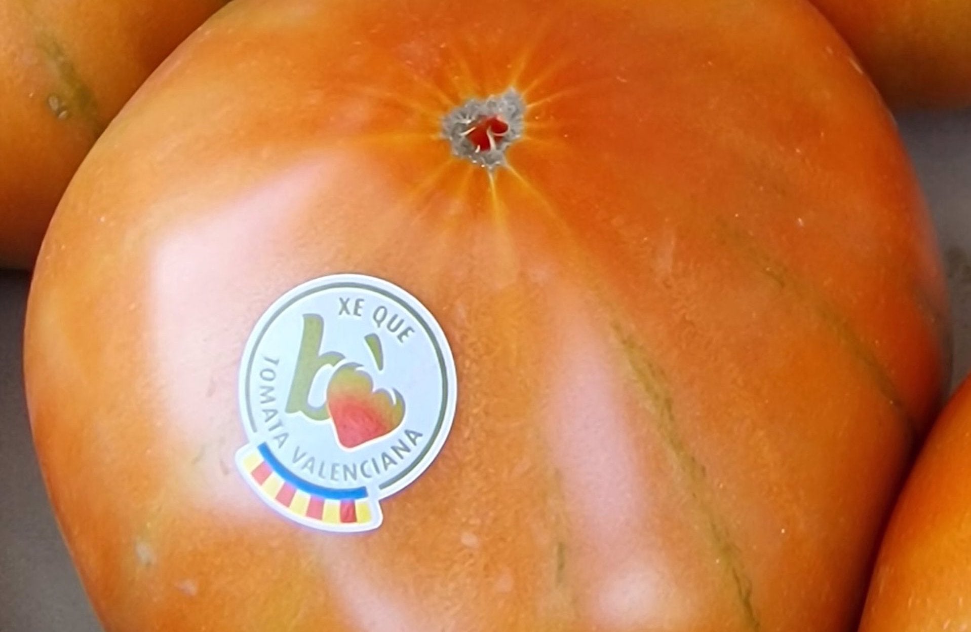 20/03/2024 'Tomata valenciana'
COMUNIDAD VALENCIANA ESPA√ëA EUROPA VALENCIA ECONOMIA SOCIEDAD
UPV