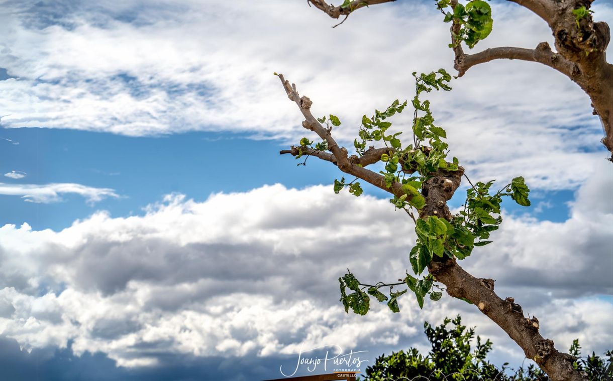 Ponent i núvols - Joanjo Puertos