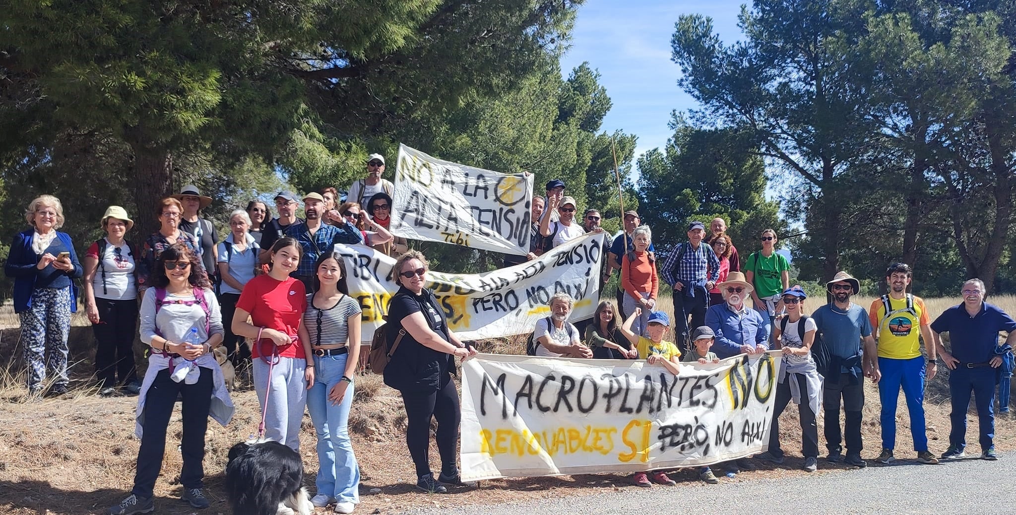 Protesta a Tibi (l'Alcoià) contra les macroplantes fotovoltaiques / No a la Alta Tensión en Tibi