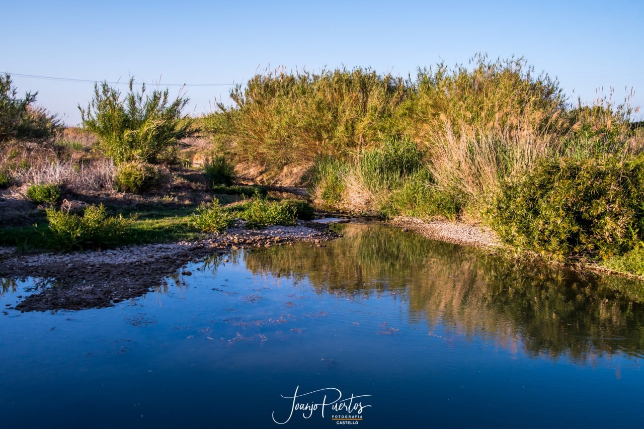 Riu Albaida, al seu pas per Castelló de la Ribera - Joanjo Puertos