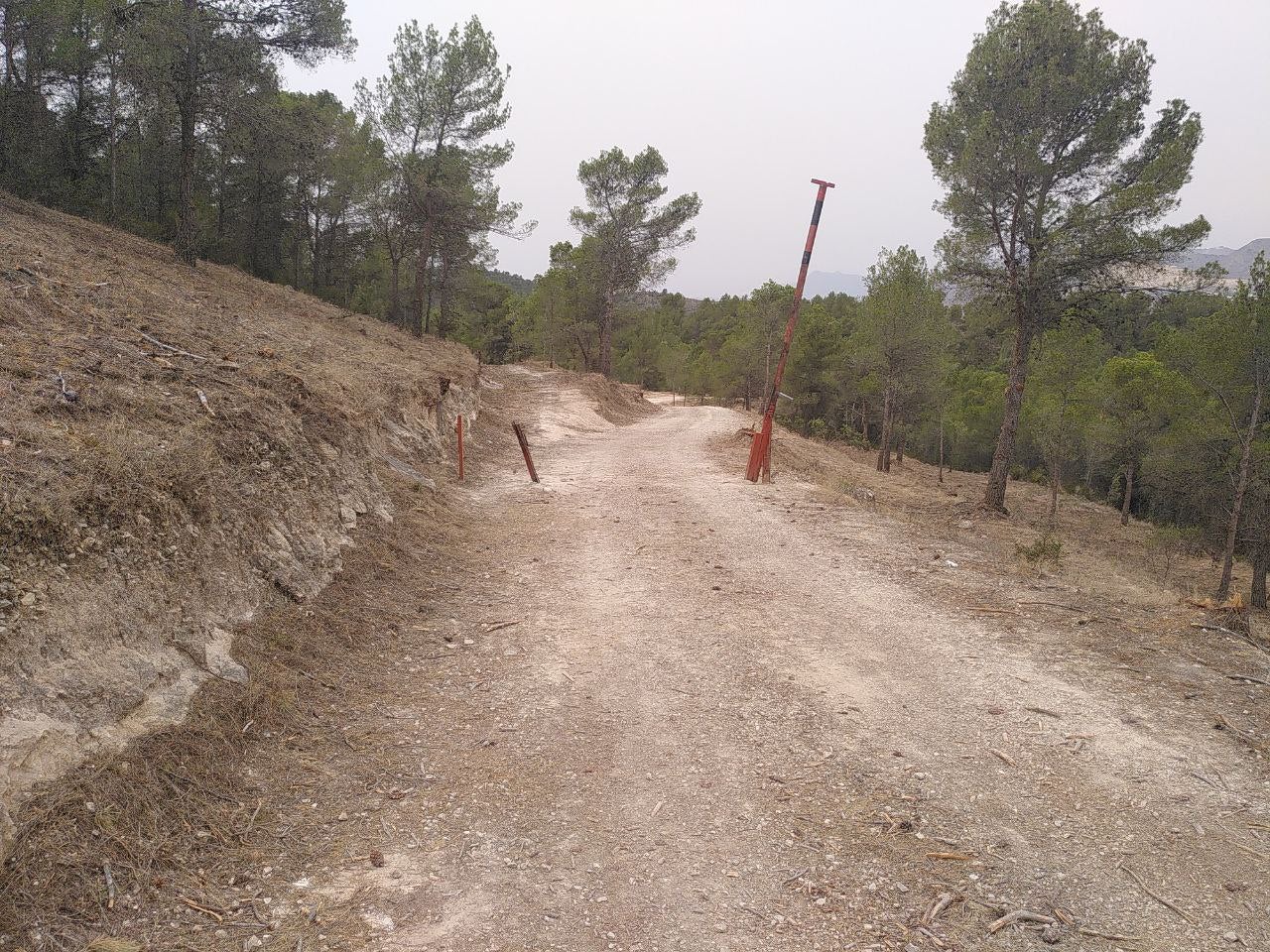 Colla ecologista El Campanà de Crevillent (Baix Vinalopó)