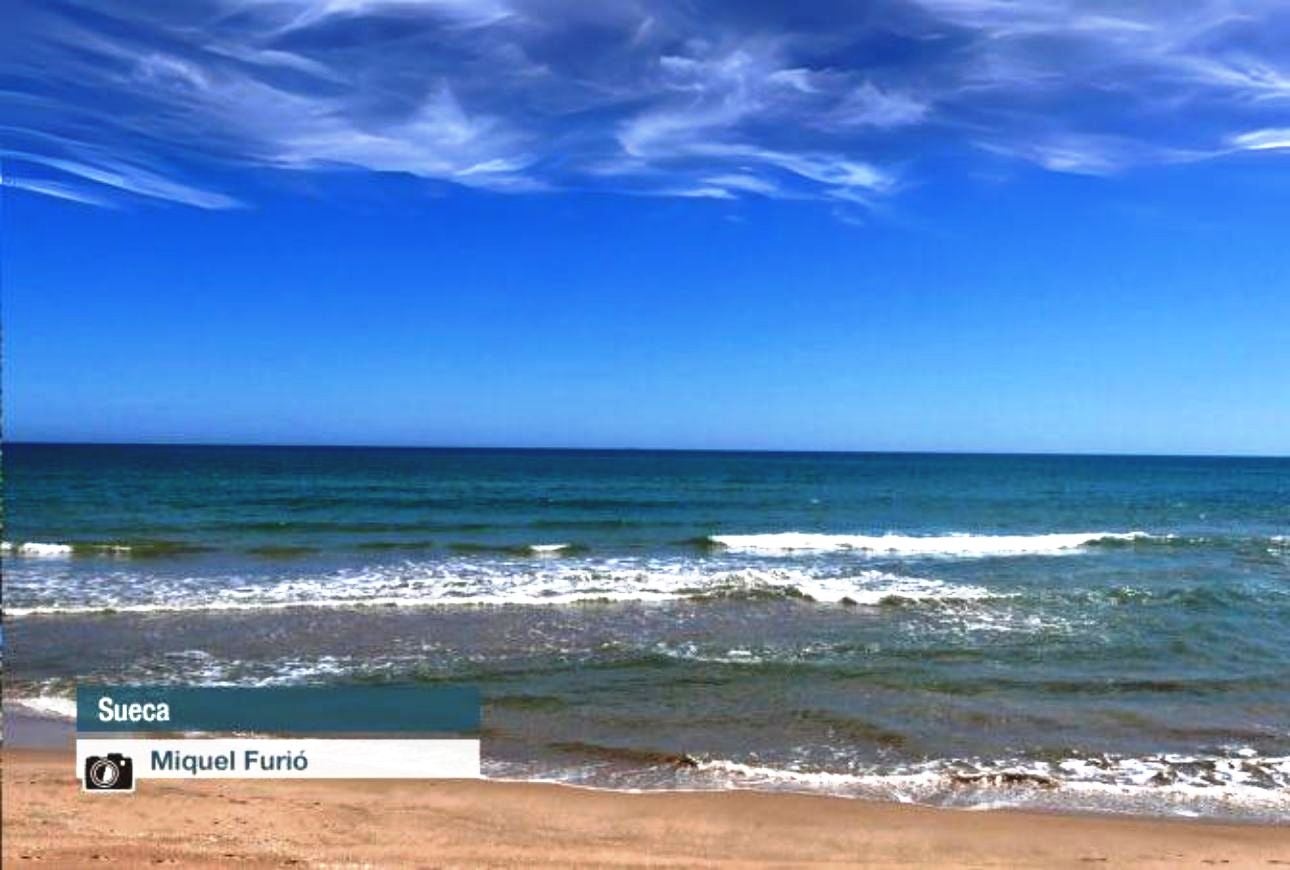 Sueca - Miquel Furió